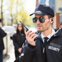 Best Security Services Companies