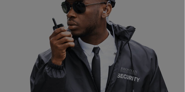 What is a Security Services Company